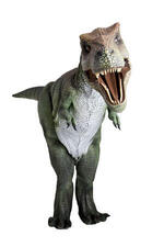 写真②ティラノサウルス.jpg