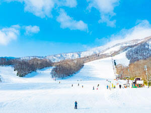 写真①スキー場.JPG