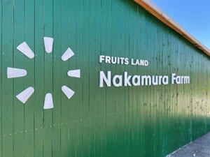 【フルーツランド中村園　FRUITS LAND Nakamura Farm】仁木町でさくらんぼ狩り♪