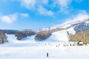 写真①スキー場.JPG