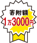 北海道で大行列のできる人気スープカレー店GARAKUスープカレー2種食べ比べ4個セット（チキン300ｇ×2個、豚角煮358g×2個）