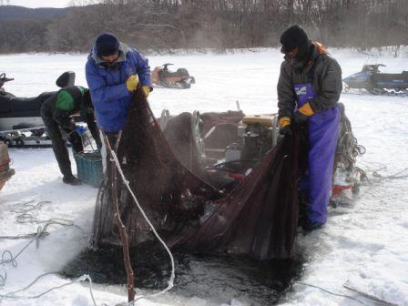 珍しい、わかさぎ氷下曳き網漁見学体験ができる