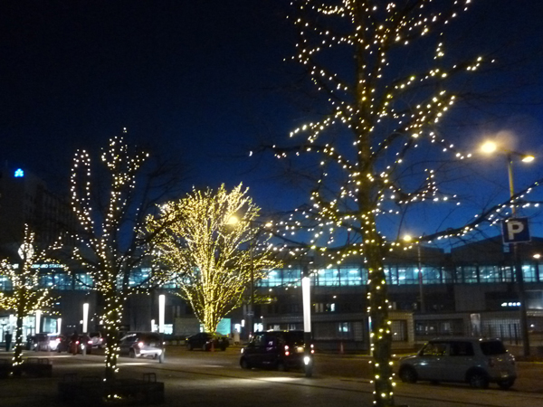 JR帯広駅前のシンボルツリー「はるにれの木」などが光り輝く