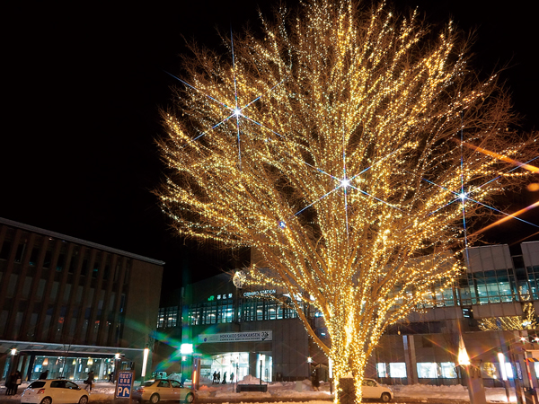 駅北交通広場のシンボルツリー「はるにれの木（平和の木）」と7本の街路樹を、約4万2千個のLED電球で飾る。
