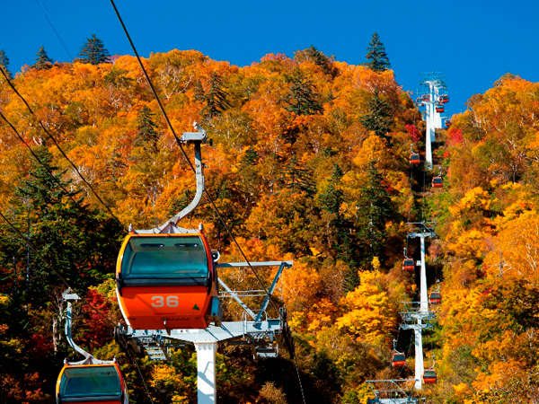 札幌国際スキー場・秋まつり～紅葉ゴンドラとパノラマ展望台！秋の味覚祭～