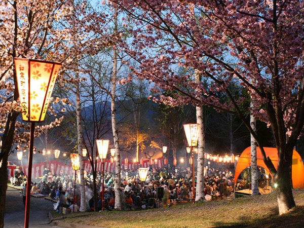 三笠山夜桜まつり