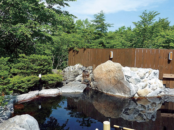 やすらぎの湯の里 竹山高原温泉