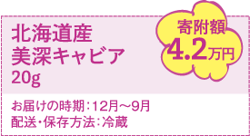 北海道産美深キャビア20g 寄付金4.2万円　お届けの時期：12月～9月　配送・保存方法：冷蔵
