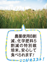 　農薬使用8割減、化学肥料5割減の特別栽培米。安心して食べられます！